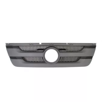 Grille de radiateur PACOL