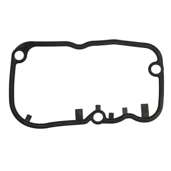 Jeu de joints d'étanchéité, collecteur d'échappement LEMA