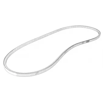 Courroie trapézoïdale d'accessoires OE