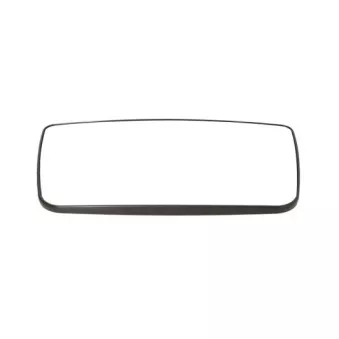 Rétroviseur extérieur PACOL RVI-MR-008