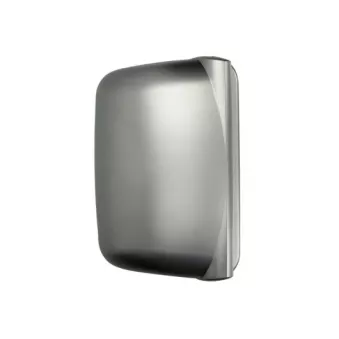 Boitier, rétroviseur extérieur PACOL RVI-MR-005