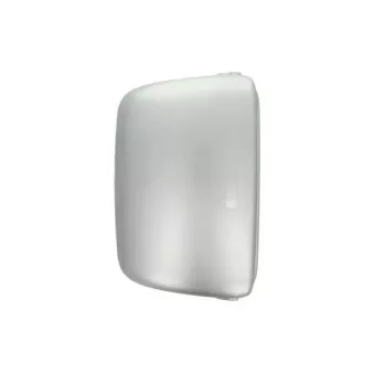 Boitier, rétroviseur extérieur PACOL RVI-MR-012