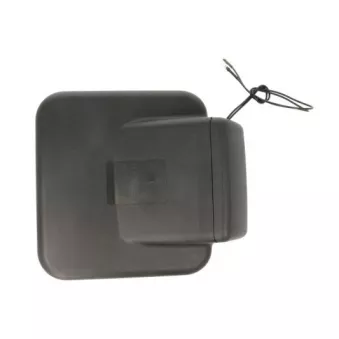 Rétroviseur extérieur PACOL RVI-MR-010