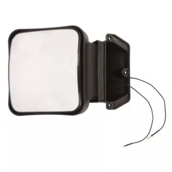 Rétroviseur extérieur PACOL RVI-MR-011