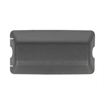 Revêtement, rétroviseur extérieur PACOL RVI-MR-016