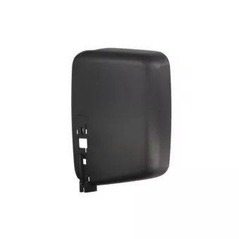 Boitier, rétroviseur extérieur PACOL RVI-MR-019R