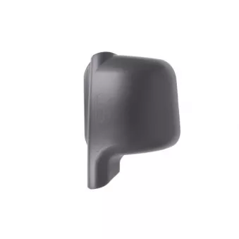 Boitier, rétroviseur extérieur PACOL RVI-MR-018L