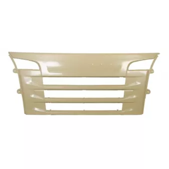 Grille de radiateur PACOL