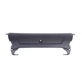 Grille de radiateur PACOL