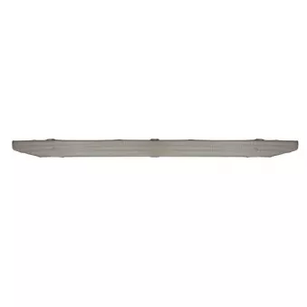 Grille de radiateur PACOL