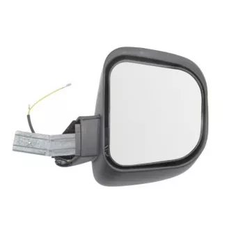 Rétroviseur extérieur PACOL