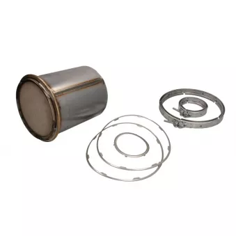 Catalyseur DINEX 4II003-RX