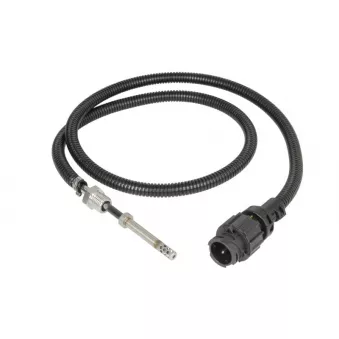 Capteur, température des gaz DINEX