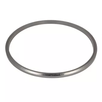 Joint d'étanchéité, collecteur d'échappement DINEX 6LL002