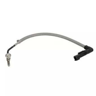 Capteur, température des gaz DINEX