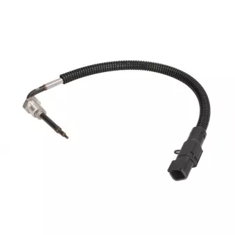 Capteur, température des gaz DINEX