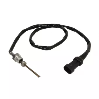 Capteur, température des gaz DINEX