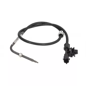 Capteur, température des gaz DINEX