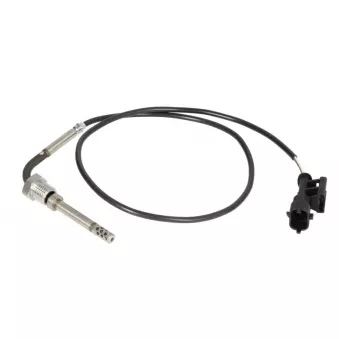 Capteur, température des gaz DINEX