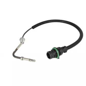 Capteur, température des gaz DINEX