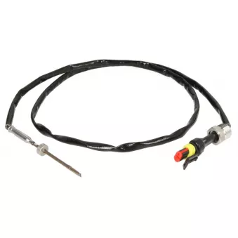 Capteur, température des gaz DINEX 22041