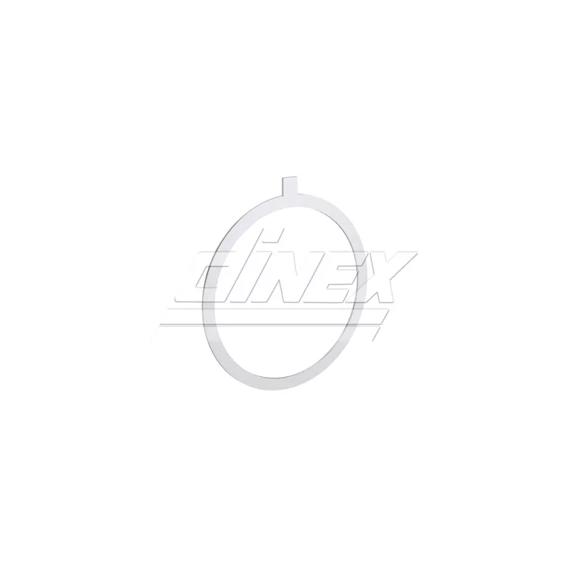 Joint d'étanchéité, collecteur d'échappement DINEX 8AL001