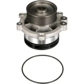 Pompe à eau GATES WP5021HD