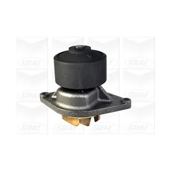 Pompe à eau GRAF PA1060