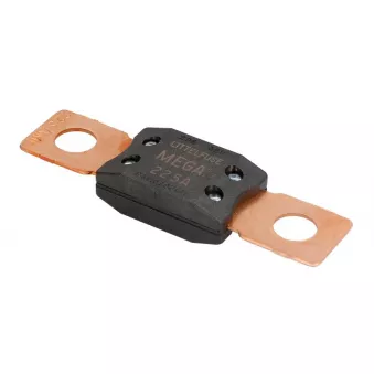 Fusible LITTELFUSE BEZP298225