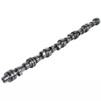 Arbre à cames BF 20 1009 XF950