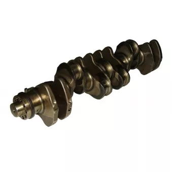 Vilebrequin BF 20 0503 45700