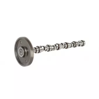Arbre à cames BF 20 1003 90601