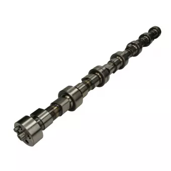 Arbre à cames BF 20 1002 08361