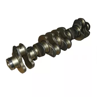 Vilebrequin BF 20 0502 28661