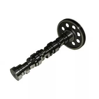 Arbre à cames BF 20 1003 50100