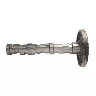 Arbre à cames BF 20 1003 54100