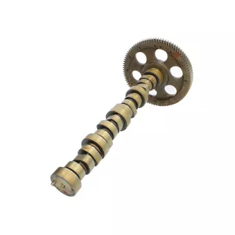 Arbre à cames BF 20 1003 90400