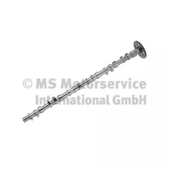 Arbre à cames BF 20 1003 47102