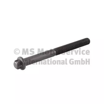 Boulon de culasse BF