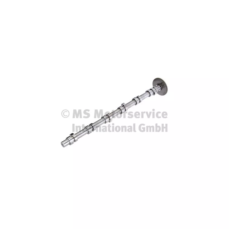 Arbre à cames BF 20 1009 11002