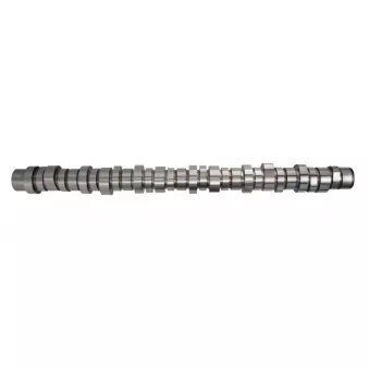 Arbre à cames BF 20 1004 13006