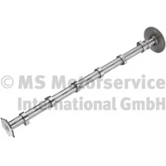 Arbre à cames BF 20 1009 11000