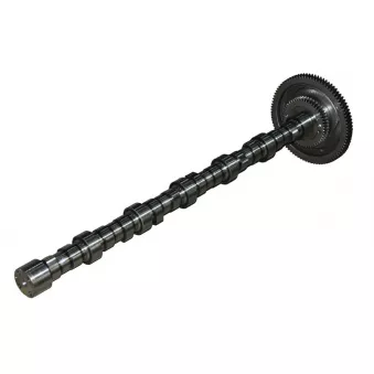 Arbre à cames BF 20 1002 28760