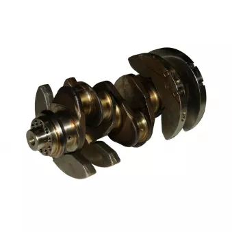 Vilebrequin BF 20 0503 50100