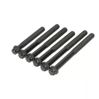 Jeu de boulons de culasse de cylindre BF 20 0802 28015