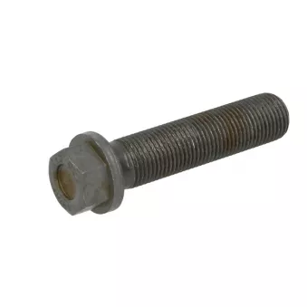 Vis de bielle BF 20 0603 44229