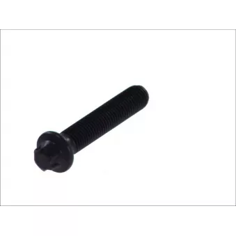 Vis de bielle BF 20 0602 08260