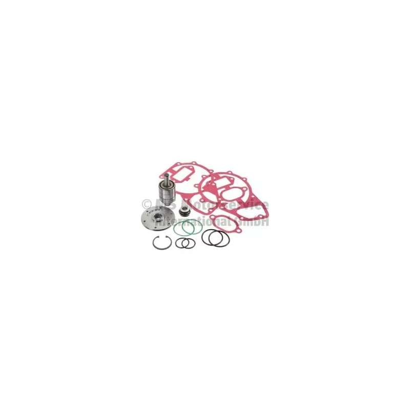 Kit de réparation, pompe à eau BF 20 1602 25009