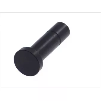 Poussoir de soupape BF 20 1003 40060