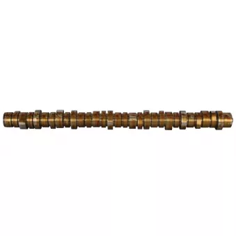 Arbre à cames BF 20 1004 13001